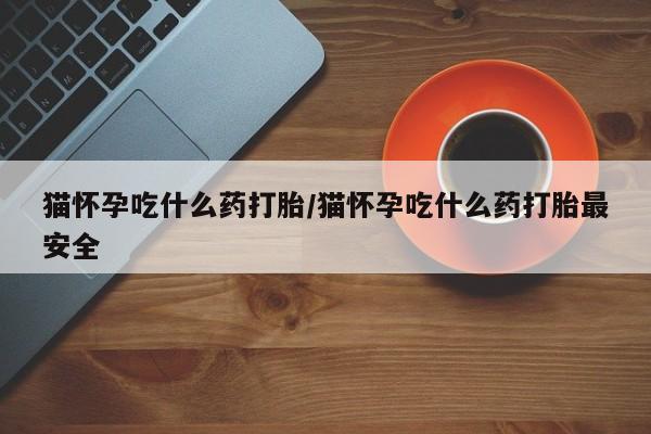 米非司酮片微信下单联系方式猫怀孕吃什么药打胎/猫怀孕吃什么药打胎最安全