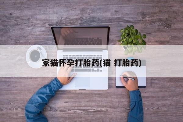 米非司酮片微信下单联系方式家猫怀孕打胎药(猫 打胎药)